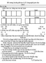 Đề cương luyện giữa học kì II Tiếng việt lớp 1